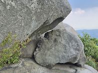 불암산 산행길에서 만난 ..