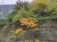 147차 (10/26)북한산 자락..