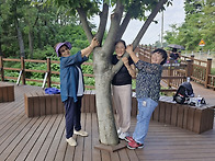 완주 되재 성지 3