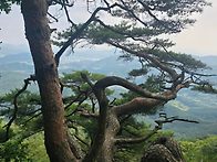 2026 8월15일(토) 양평 ..