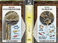 퓨어오투 이산화염소 지하..
