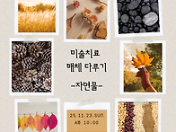 25년 11월 하은미..