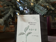 책)얄롬박사부부의..