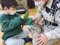 애니멀파파-그린칙코뉴어^..