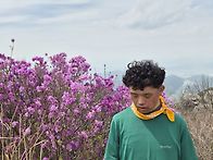 4.28 100대명산ㅡ비슬산