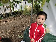 꿈자람 농원 ❤️