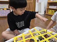 내가 구출 해 줄게~