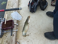 ▥▥ 10월 넷째주..