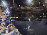 ▥▥ 3월 마지막주..