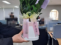 #미니금전수화분 #개업축하..