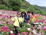 청풍호반 케이블카