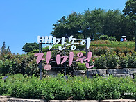 백만송이 장미원