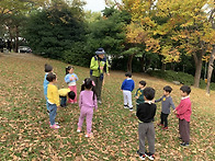 별님반 숲 체험&#127795;