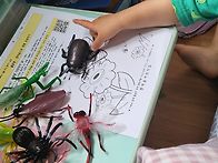 새싹반 박주안 5월 인성환..