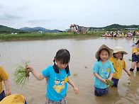 &#127806;손 모심기 ..