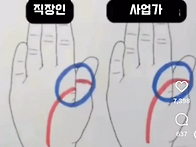 직장인 사업가