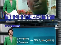 평양 평창