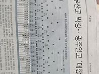 황금사자기