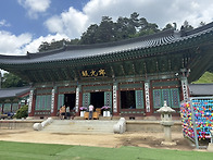 (2025.06.15)오대산 월정..