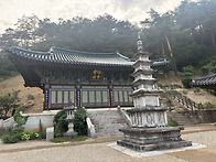 (2025.06.15)삼척 천은사