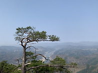산