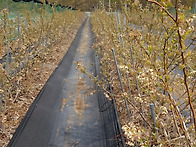 수정 들어갑니다