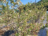 수정이 되어갑니다