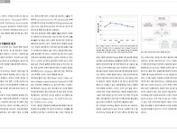 RF 리프팅 (볼륨 리프팅 ..