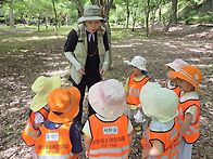 7-21 숲놀이(산새소리)