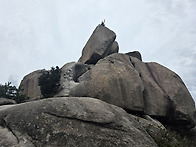 불사조(문성종)의..