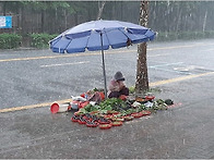 폭우 속 노점 할머..