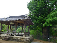 소백산 구곡 계곡