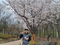 벚꽃과 함께 찰~..