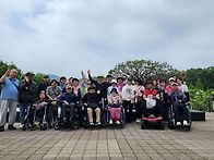 매실 수확하여 매..
