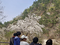 봄 내음을 맡으며..