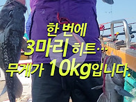 한 번에 3마리 히트&hellip; 무..