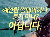 쩨깐한 깔텡이하나 문거 ..