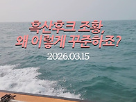 흑산후크 조황, 왜 이렇게..