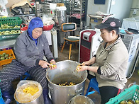 금년도 수확한 포포씨앗 ..