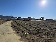 경남고성소형토지...거류면..