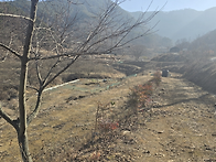 경남고성땅....영오면 산..