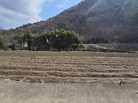 경남고성토지매매....첩첩..