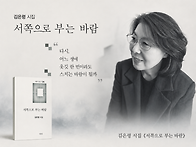 그냥 왔다 간 것을 / 김은..
