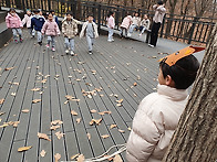 겨울을 준비하는숲 (241..