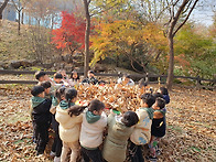 잎을 떨어트려 겨울을 준비..
