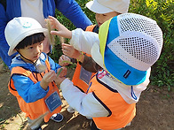 숲산책하며 숲에서 놀아요