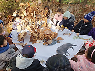 낙엽으로 놀아요 (24111..