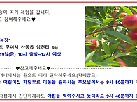 2026년 6월 19일 신비복숭아 체험 수요조사..