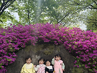 2026. 4. 20(월) &ldquo;가산수피아 나들이&#..