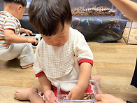 2026. 6. 24(수) 쥬니멀..